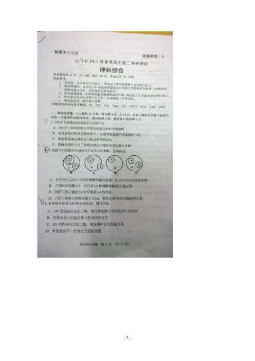 广东省江门市普通高中2015届高三调研测试理综试题 扫描版答案不全