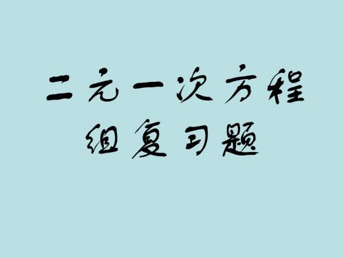 第8章二元一次方程组复习题