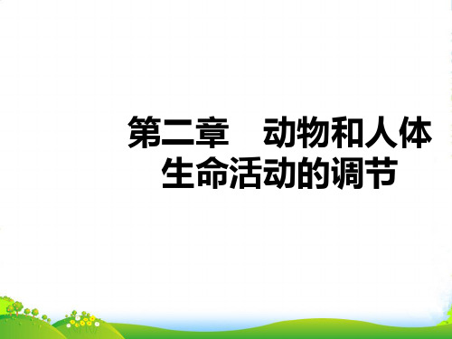 人教版高中生物必修(三)2.1通过神经系统的调节 课件(共45张PPT)