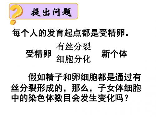 2.1 减数分裂和受精作用
