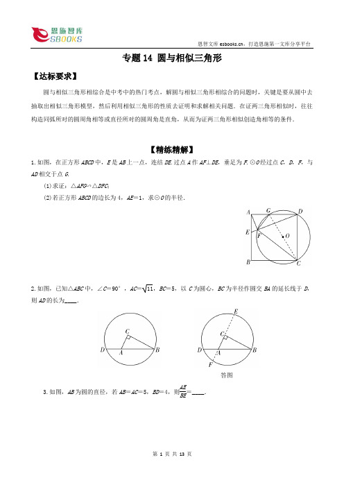 专题14 圆与相似三角形-恩施州中考数学高频考点、重点专题突破精练精解(原卷版)