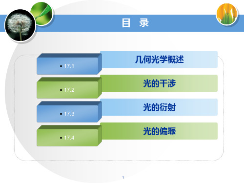 高二物理竞赛波动光学1(光的干涉)课件