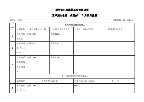 工程项目月报表模板