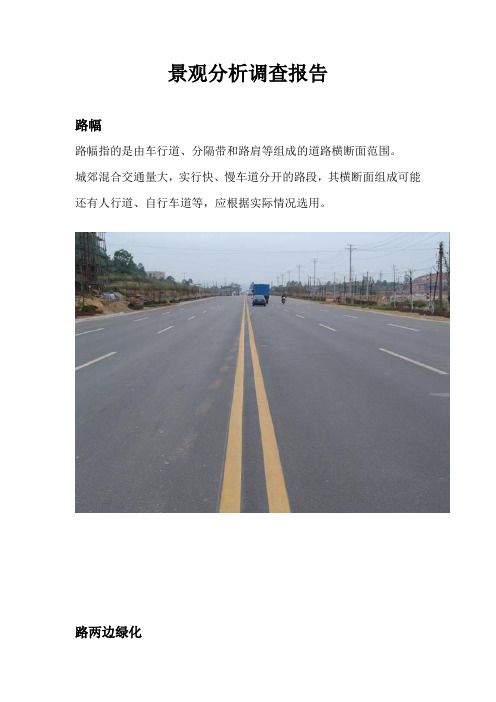 公路景观分析报告