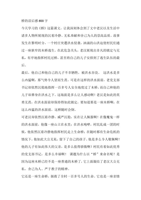 桥的读后感600字