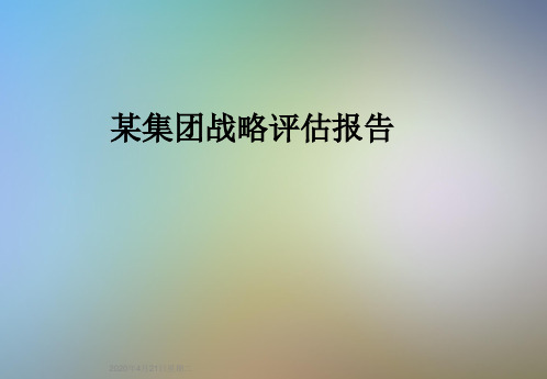 某集团战略评估报告