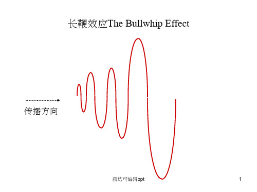 长鞭效应PPT