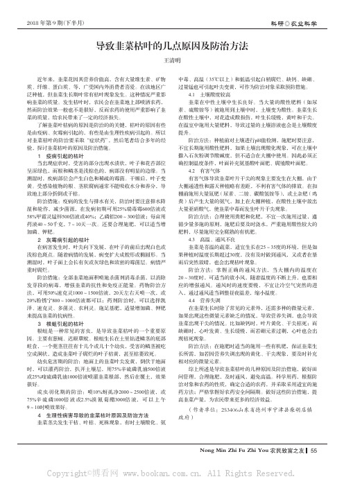 导致韭菜枯叶的几点原因及防治方法