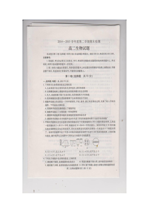 学14—15学年下学期高二期末考试生物试题(扫描版)(附答案)