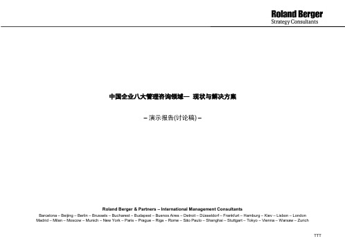 罗兰贝格-民营企业管理咨询领域现状与解决方案-PPT精选文档22页