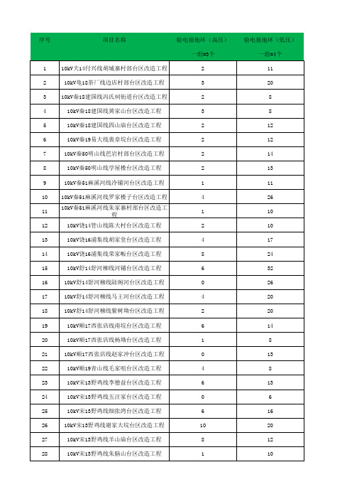 验电接地环、雷击闪络保护器(修改后)