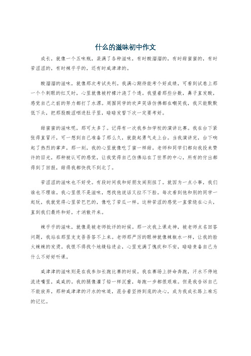 什么的滋味初中作文