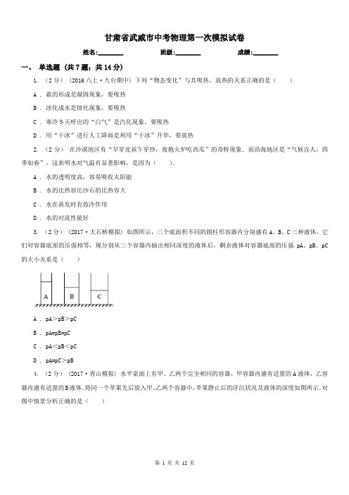 甘肃省武威市中考物理第一次模拟试卷