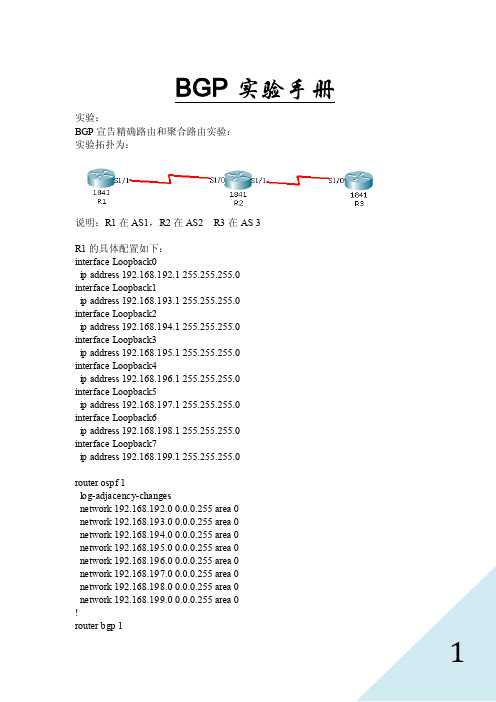 BGP实验手册