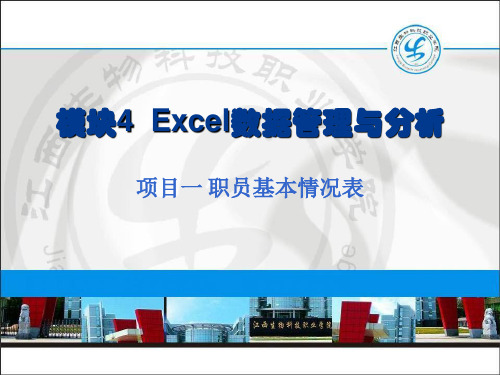 模块4 Excel数据管理与分析1