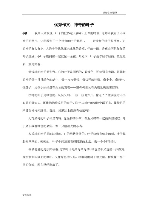 优秀作文:神奇的叶子