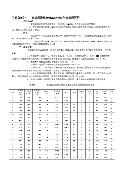 烃源岩演化特征与烃源岩评价