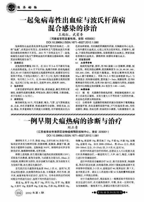 一起兔病毒性出血症与波氏杆菌病混合感染的诊治