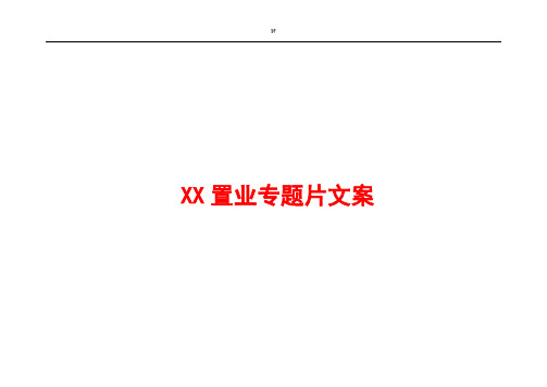 XX置业企业专题片