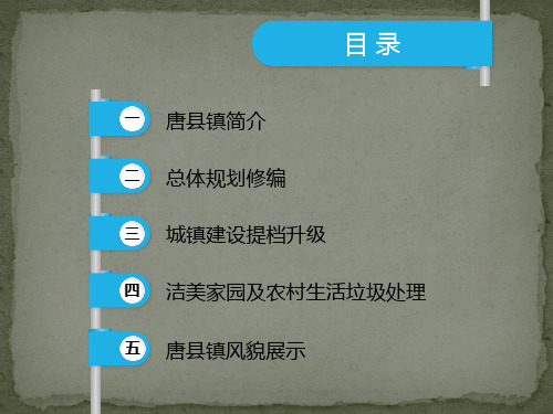 全国重点镇唐县镇小城镇建设汇报