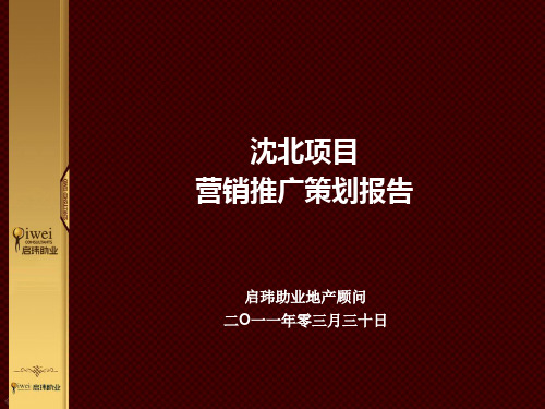 沈北项目营销推广报告