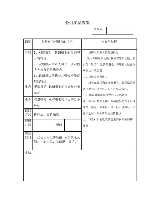 初中生物七上实验课教案观察根毛和根尖的结构