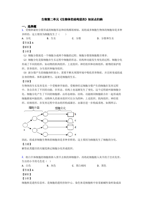 生物第二单元《生物体的结构层次》知识点归纳