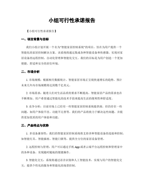 小组可行性承诺报告