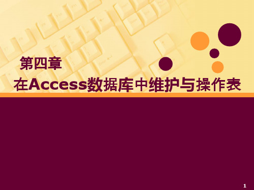 第四章在Access数据库中维护与操作表剖析