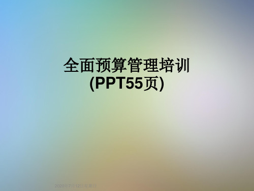 全面预算管理培训(PPT55页)