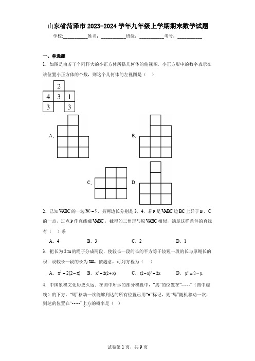 山东省菏泽市2023-2024学年九年级上学期期末数学试题