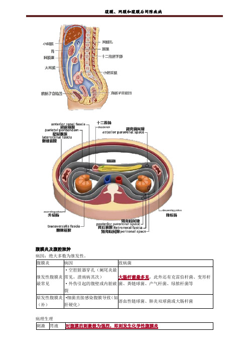 腹膜、网膜和腹膜后间隙疾病考试重点