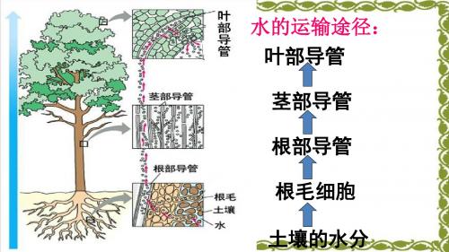 水循环3-2999