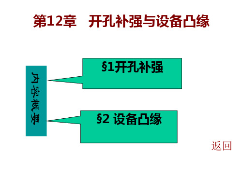 12开孔补强与设备凸缘