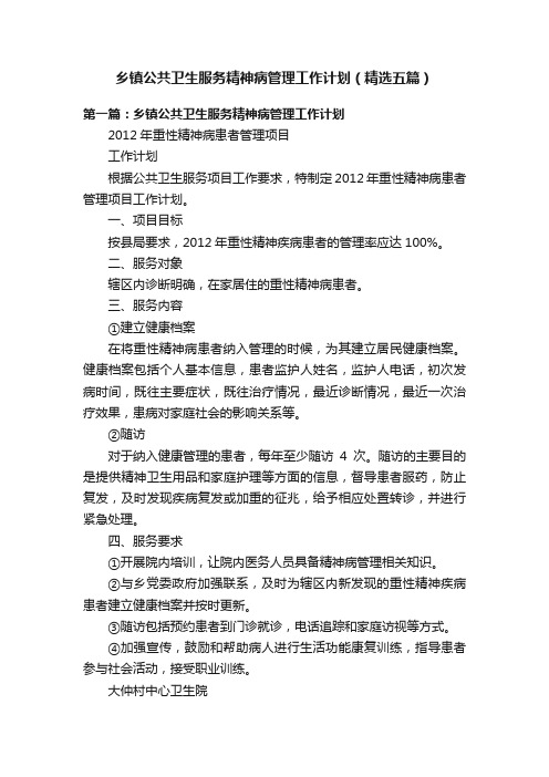 乡镇公共卫生服务精神病管理工作计划（精选五篇）