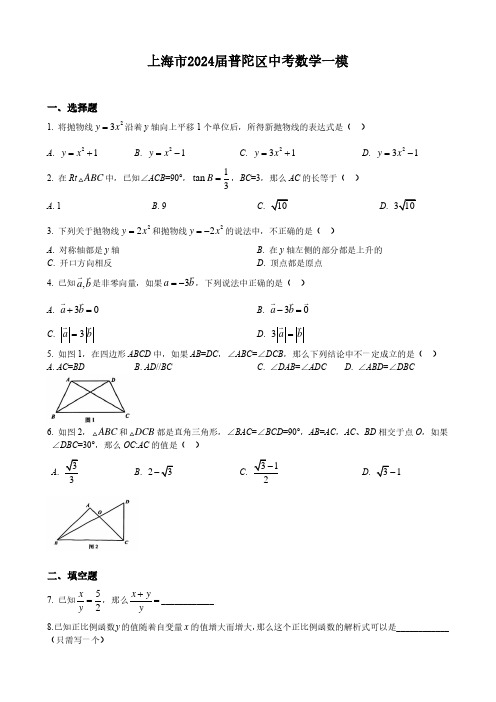 上海市2024届普陀区中考数学一模