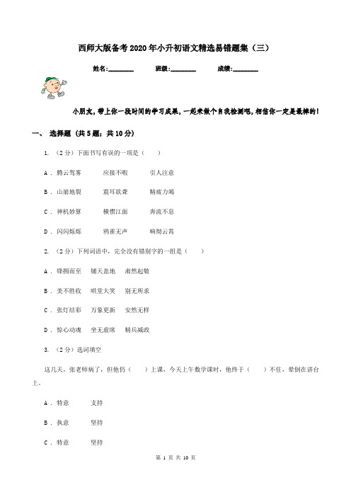 西师大版备考2020年小升初语文精选易错题集(三)