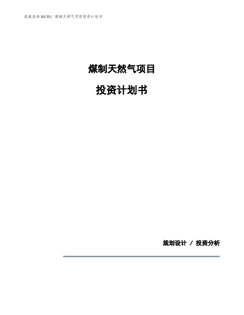 煤制天然气项目投资计划书