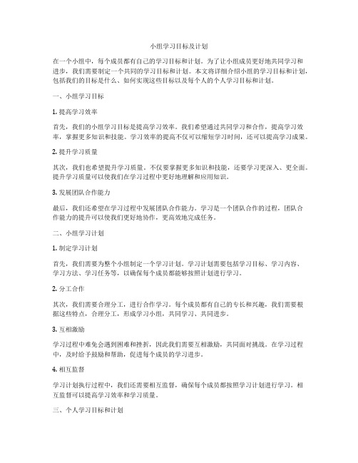 小组学习目标及计划