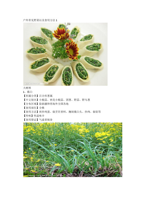 户外常见野菜以及食用方法1