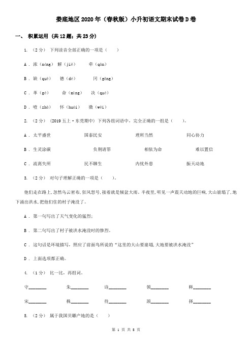 娄底地区2020年(春秋版)小升初语文期末试卷D卷(新版)