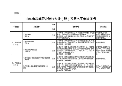 山东省高等职业院校专业(群)发展水平考核指标