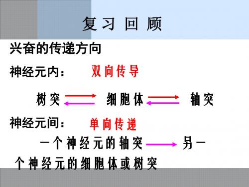 人教版高二生物必修三《通过激素的调节》课件(共52张PPT)