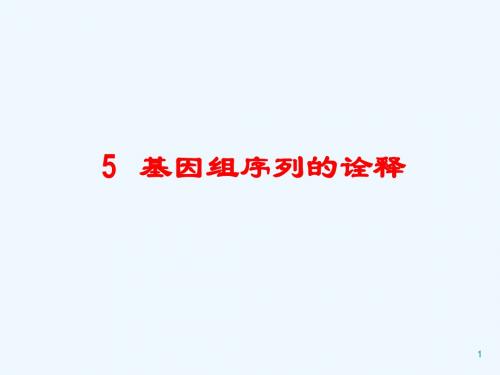 5.基因组序列的诠释