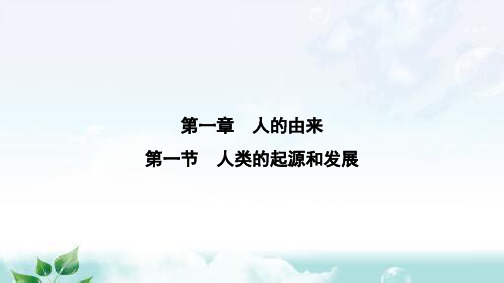 人教版七年级生物下册第一章第一节人类的起源和发展课件