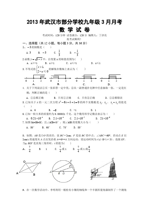 2013年武汉市部分学校九年级3月月考数学试题