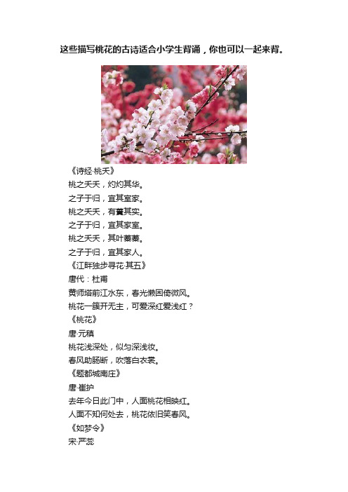 这些描写桃花的古诗适合小学生背诵，你也可以一起来背。