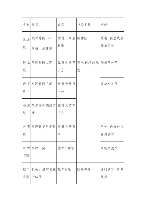 肌肉的起止点及神经支配总结