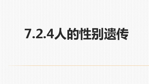 人教版 八下 7. 人的性别遗传 课件