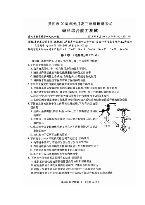 湖北省黄冈市2018届高三上学期期末考试理科综合试题及答案